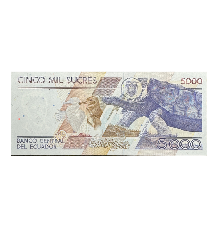 Ecuador, 5.000 Sucres, 1992 - UNC