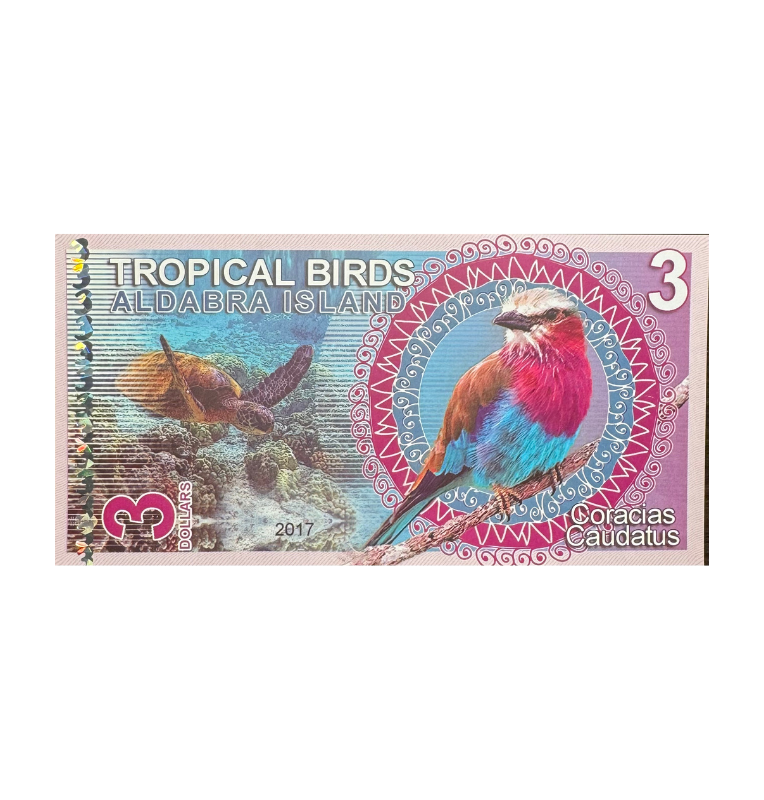 Aldabra Island, Fantasia Souvenir, 2017