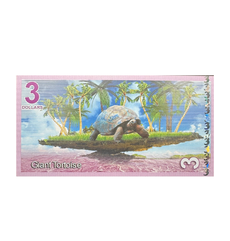 Aldabra Island, Fantasia Souvenir, 2017