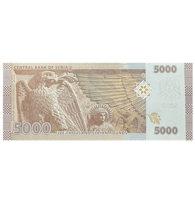 5000 Pounds de Siria Pick #118c.2 2023
